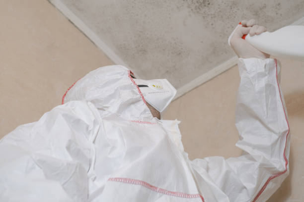 Best Mold Testing and Removal  in Trexlertown, PA